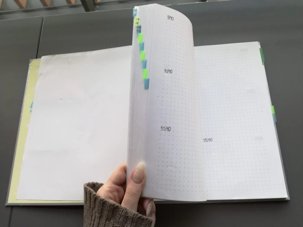 bullet journal infoblogerka
